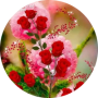 freelancers-in-India-Data-Entry-Thiruvannamalai-SARALA-R