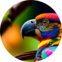 freelancers-in-India-Graphic-Design-Kolkata-Ashis-Kumar-Yadav