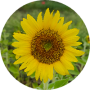 freelancers-in-India-Data-Entry-Nagarcoil-Anne-jeflin-