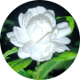 freelancers-in-India-Translation-Latakia-/-jableh-Rym-Ibrahim