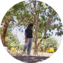 freelancers-in-India-Data-Entry-Coimbatore-Dharshinisrii.-M.S