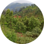 freelancers-in-India-Data-Entry-Chennai-Akash-Sg