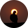 freelancers-in-India-Photo-Editing-Noida-Ritesh-Kumar-gaur-
