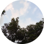 freelancers-in-India-Data-Entry-Trivandrum-ATHIRA-A