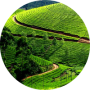 freelancers-in-India-Data-Entry-Kerala-Aman-Muhammed-cp