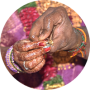 freelancers-in-India-Data-Entry-Chennai-Gobika-balasubramaniyan