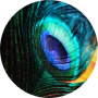 freelancers-in-India-Data-Entry-Nagercoil-KayathriArunkumar-