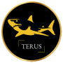 freelancers-in-India-Website-Design-H?-Chí-Minh-Terus-Technology