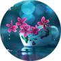 freelancers-in-India-Accounting-Bangalore-Megha-Patil