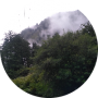 freelancers-in-India-Graphic-Design-Delhi-Lipika