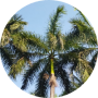 freelancers-in-India-Data-Entry-Trichy-Dharshinidevi-