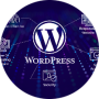 freelancers-in-India-website-developer-shahdadpur-Aisha-Khalid
