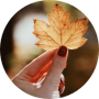 freelancers-in-India-Graphic-Design-Pune-Lalita-mali-
