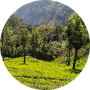 freelancers-in-India-Data-Entry-Hyderabad-S-Suhenafathima-