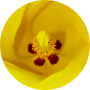 freelancers-in-India-Data-Entry-Dindigul-Joshwa-