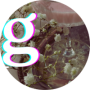 freelancers-in-India-Graphic-Design-mandsaur-Gungun-purohit