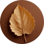 freelancers-in-India-Graphic-Design-New-Delhi-Alok-Kumar-