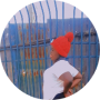 freelancers-in-India-Translation-Nairobi-Solesher-