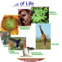 freelancers-in-India-Health-Lagos-Agboola-moyinoluwa