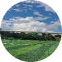 freelancers-in-India-website-developer-bengaluru-Aayush-Kumar-Singh