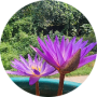 freelancers-in-India-Freelancer-HR-Anakapalli-Meghana-Sandina